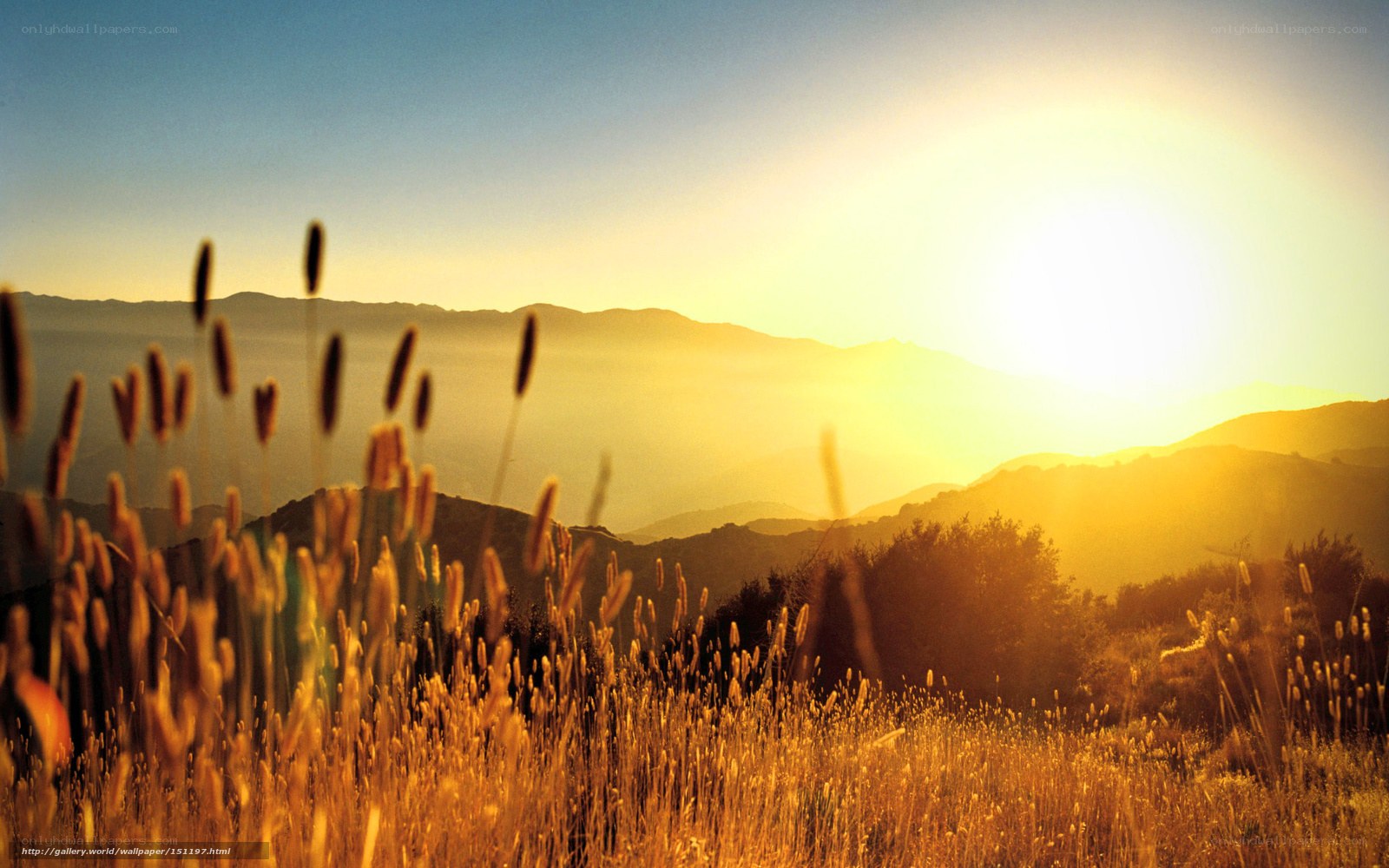 Sunset over golden hills