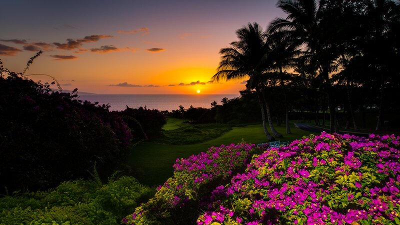 Sunset over Golf Course — Purple