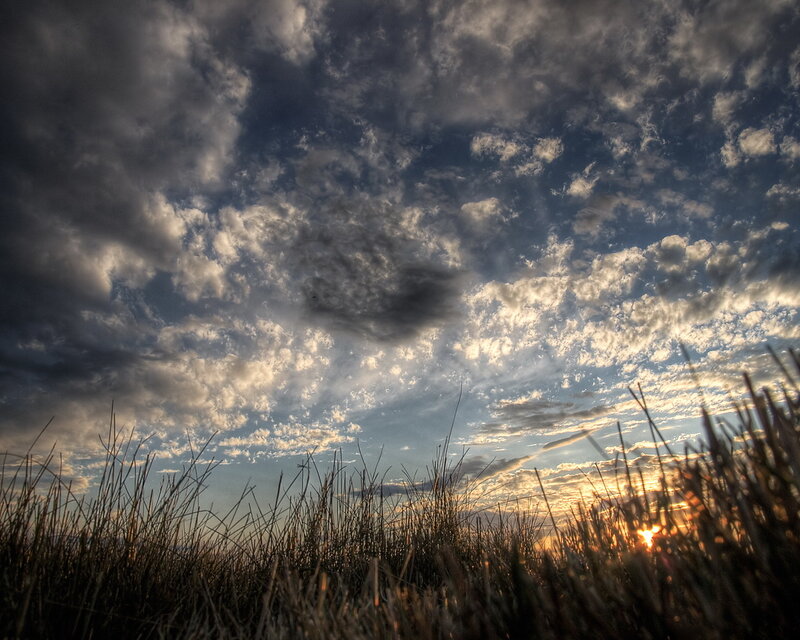 Sunset over Grass Field — Blue