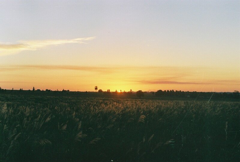 Sunset over Grass Field — Orange, Serene
