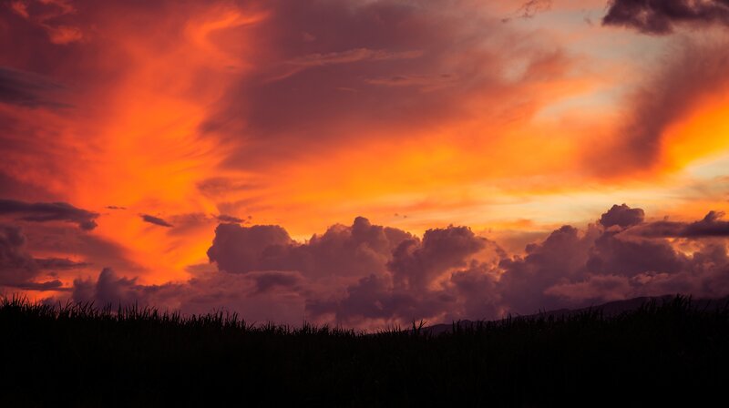 Sunset over Grass Field — Orange