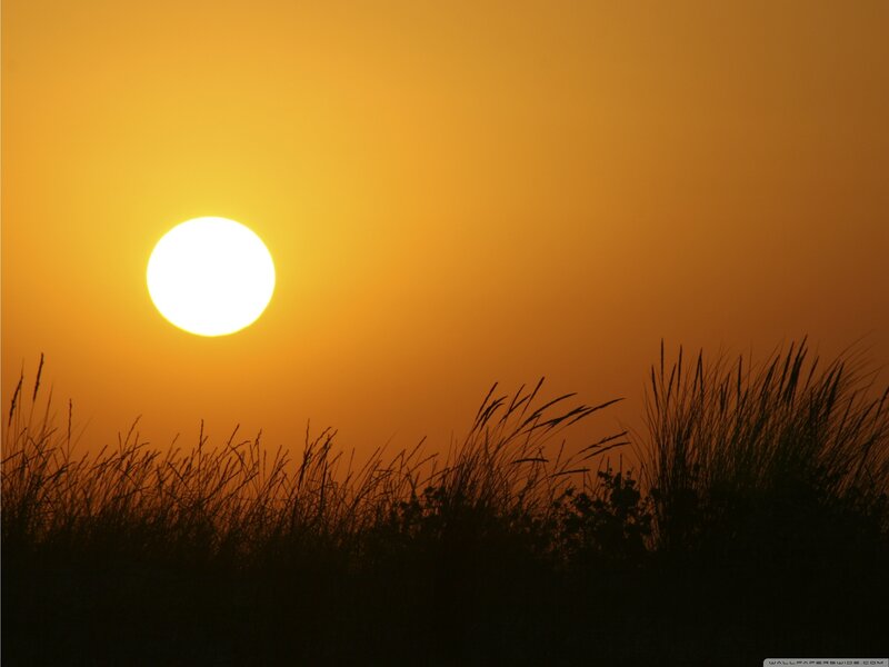 Sunset over Grass — Orange, Serene