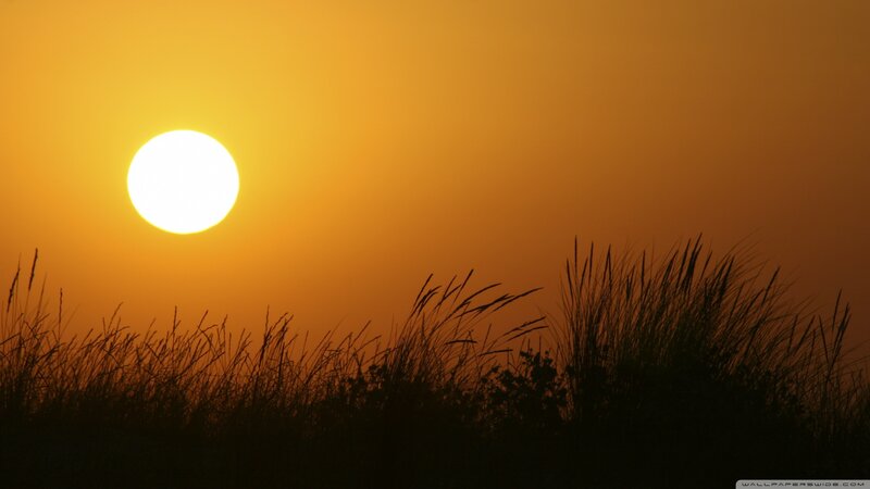 Sunset over Grass — Orange