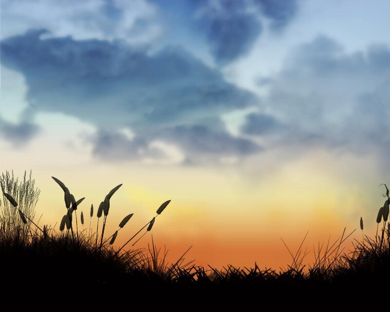 Sunset over grass silhouette