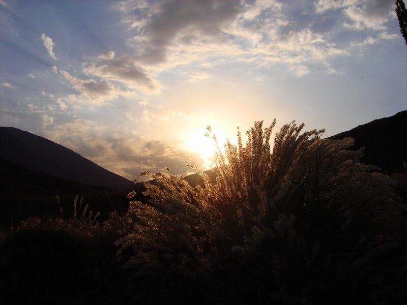 Sunset over Grasses — Blue