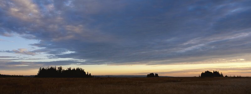 Sunset over Grassland — Blue, Serene, Photograph