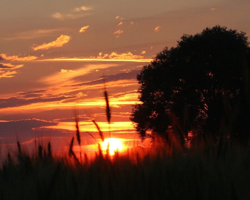 Sunset over Grassland — Orange, Dramatic