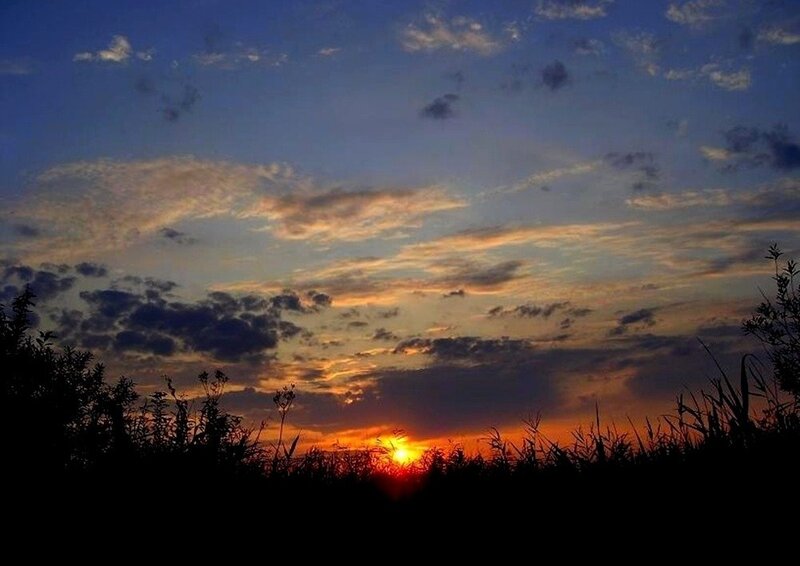 Sunset over Grassland — Orange