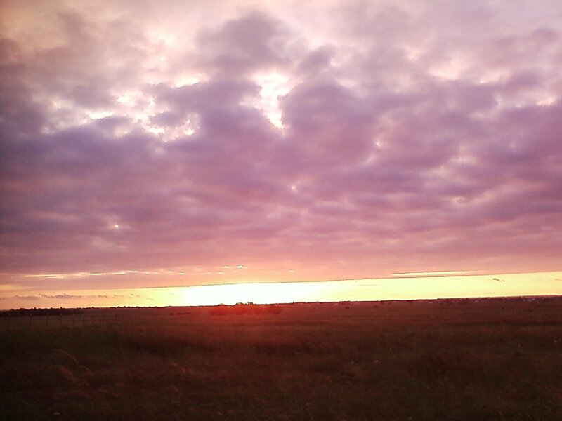 Sunset over Grassland