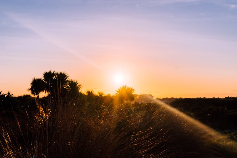 Sunset over Grassy Dunes — Orange