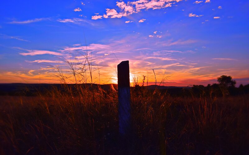Sunset over Grassy Field — Blue, Dramatic, Photograph