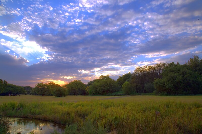Sunset over Grassy Field — Blue, Serene