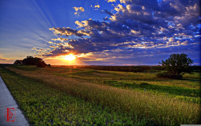 Sunset over Grassy Field — Blue