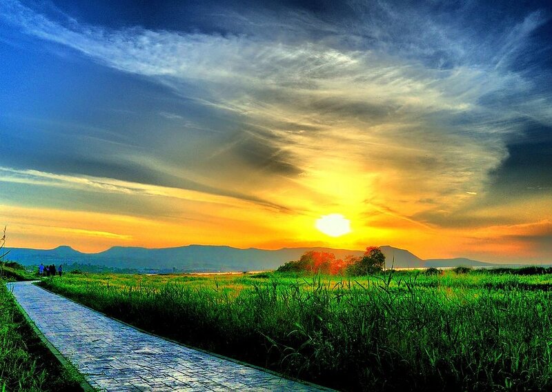 Sunset over Grassy Field — Green, Dramatic, Photograph, Path