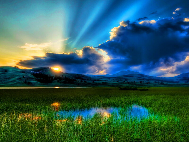 Sunset over Grassy Field — Green, Dramatic, Photograph