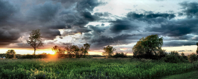 Sunset over Grassy Field — Green, Dramatic, Photograph, Trees