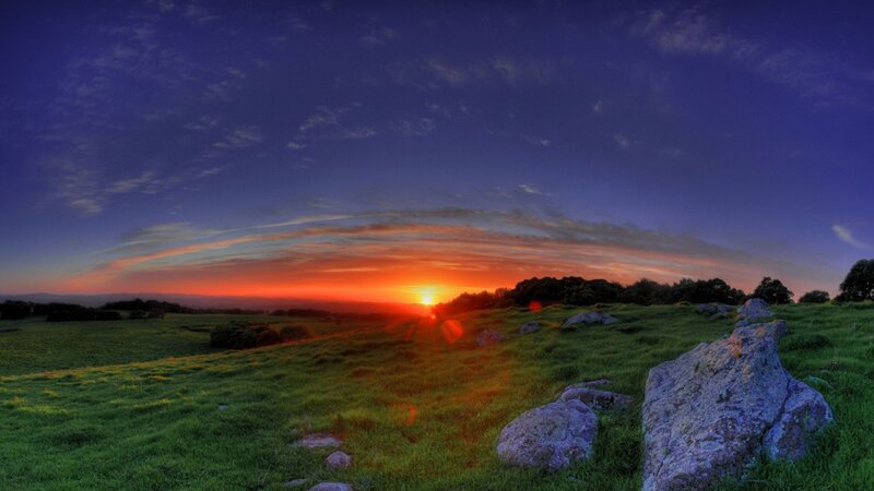 Sunset over Grassy Field — Green, Serene
