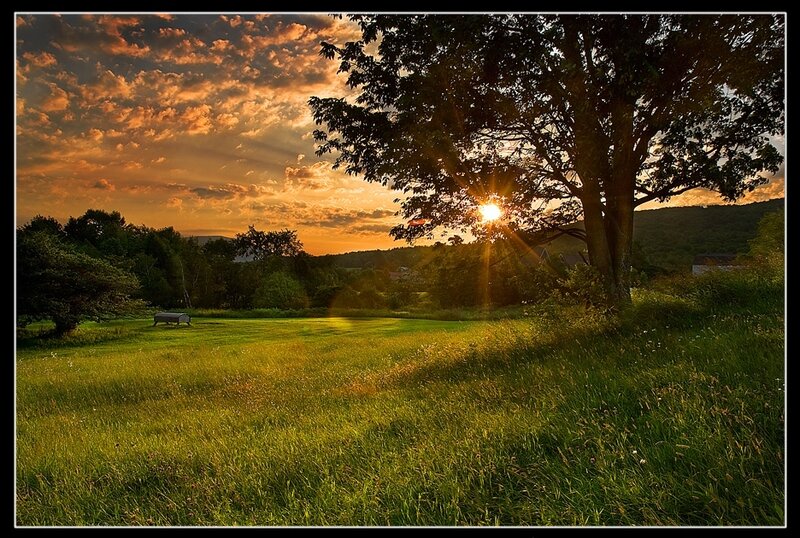 Sunset over Grassy Field — Green