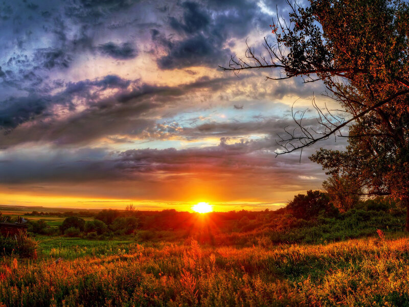 Sunset over Grassy Field — Orange, Dramatic, Photograph, Clouds
