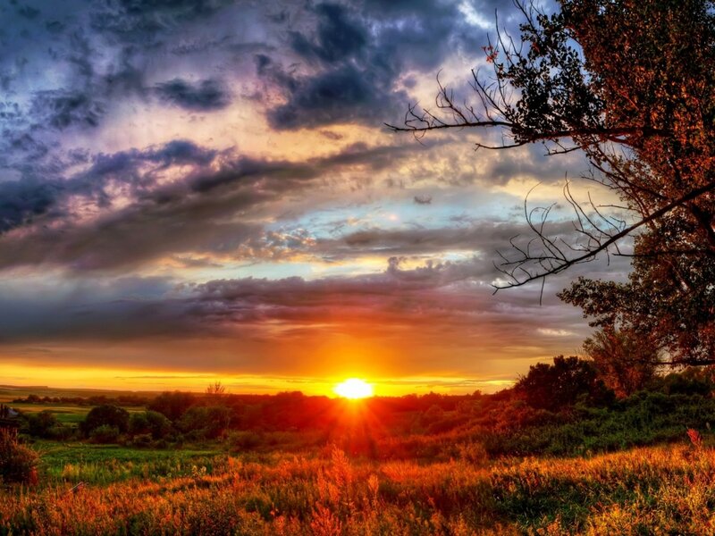 Sunset over Grassy Field — Orange, Dramatic, Photograph, Clouds, Trees, Sun