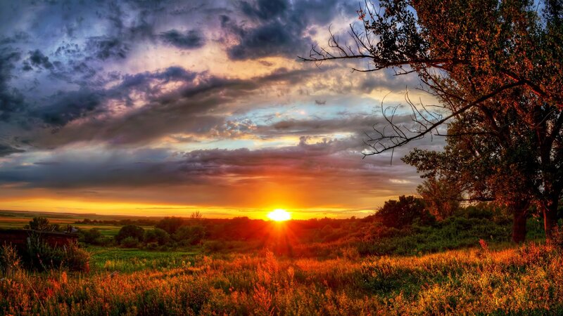 Sunset over Grassy Field — Orange, Dramatic, Photograph, Clouds, Trees