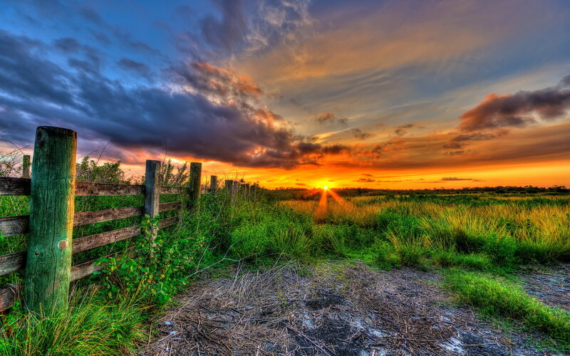 Sunset over Grassy Field — Orange, Dramatic, Photograph