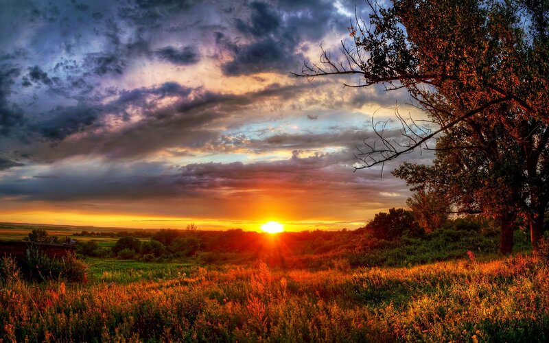 Sunset over Grassy Field — Orange, Dramatic, Photograph, Tree, Clouds