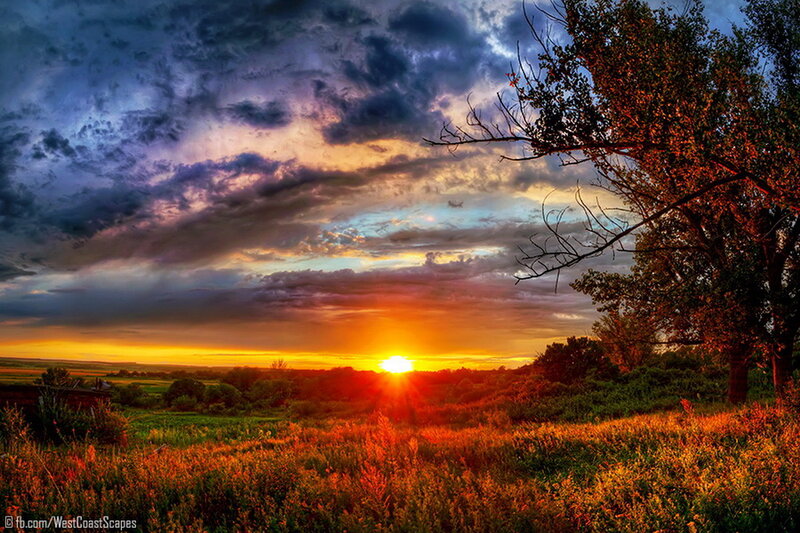 Sunset over Grassy Field — Orange, Dramatic