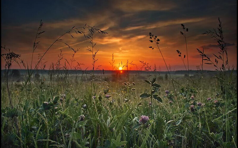 Sunset over Grassy Field — Orange, Serene, Photograph, Grass