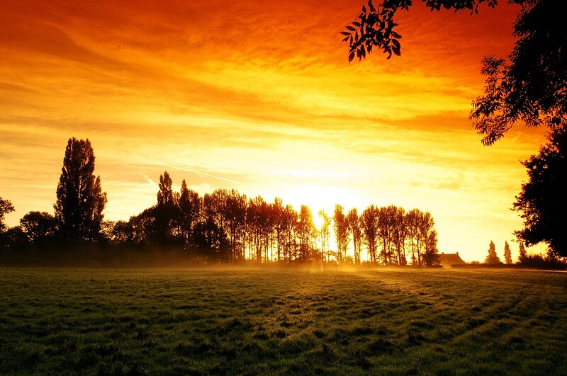 Sunset over Grassy Field — Orange, Serene, Photograph