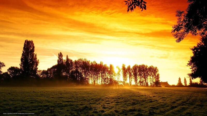 Sunset over Grassy Field — Orange, Serene, Photograph, Trees, Sky