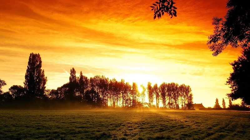 Sunset over Grassy Field — Orange, Serene, Photograph, Trees