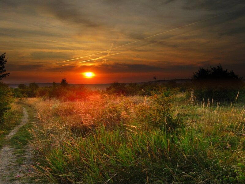 Sunset over Grassy Field — Orange, Serene