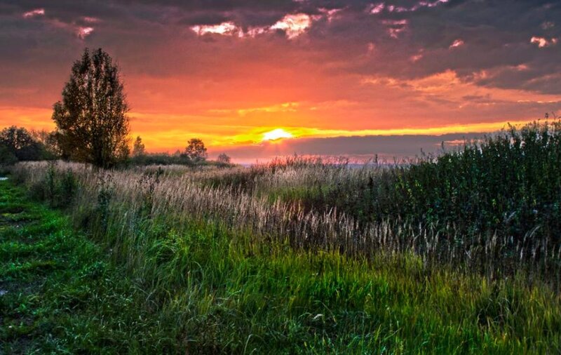 Sunset over Grassy Field — Orange