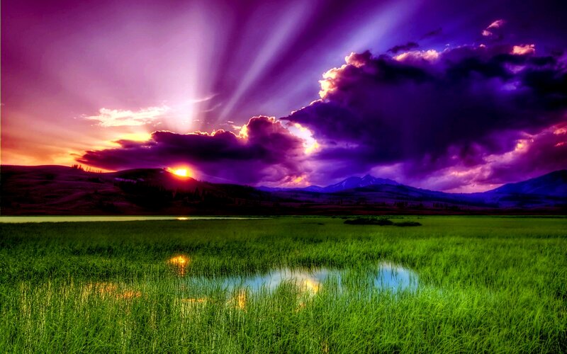 Sunset over Grassy Field — Purple, Dramatic