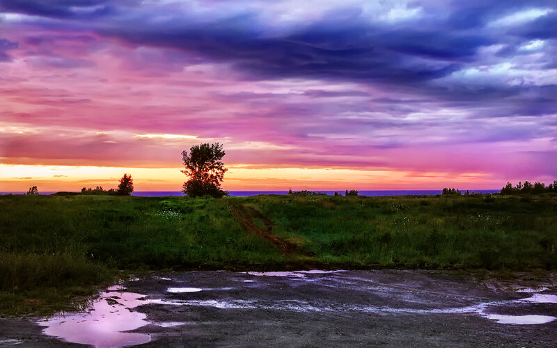 Sunset over Grassy Field — Purple