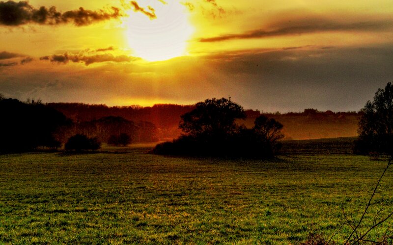 Sunset over Grassy Field — Yellow, Dramatic