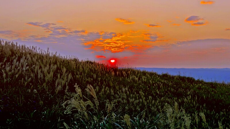 Sunset over Grassy Hill — Orange, Serene, Photograph