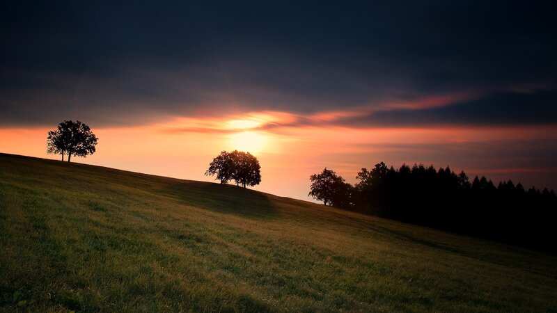 Sunset over Grassy Hill — Orange, Serene, Photograph, Trees