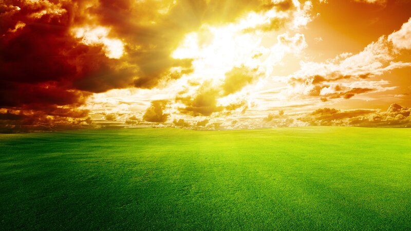 Sunset over green field