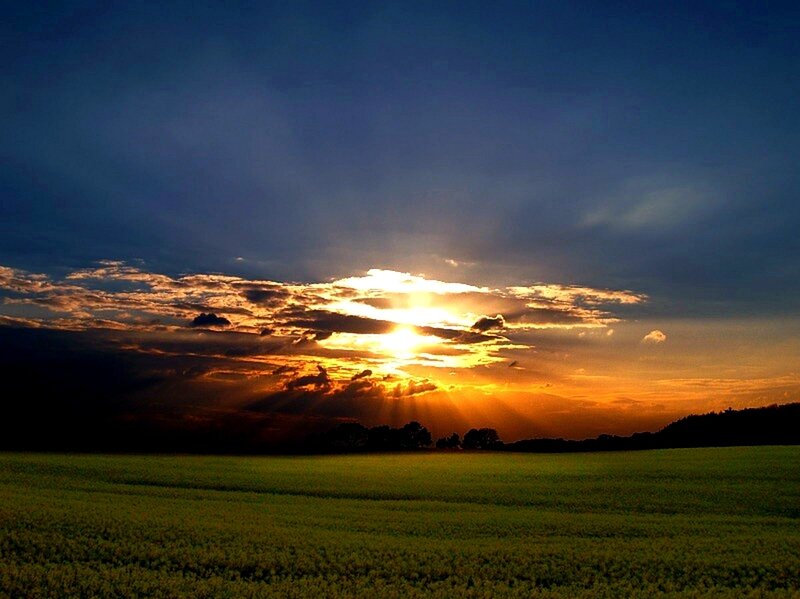 Sunset over Green Field — Blue, Dramatic, Photograph