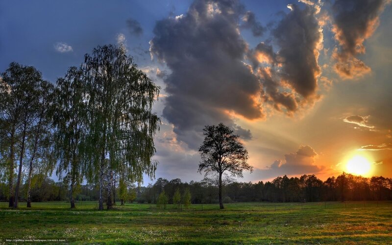 Sunset over Green Field — Dramatic, Photograph, Trees, Clouds, Sun