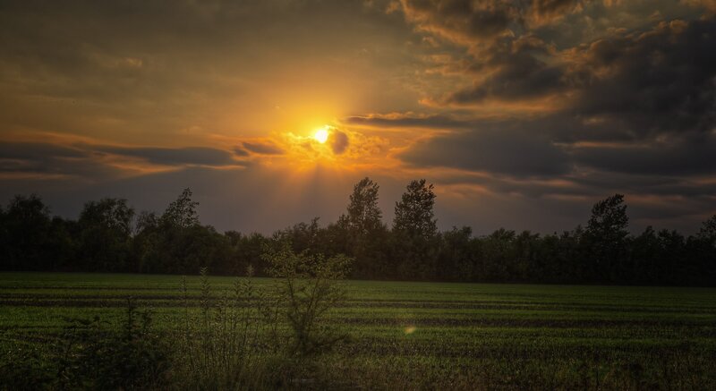 Sunset over Green Field — Dramatic, Photograph, Trees, Clouds