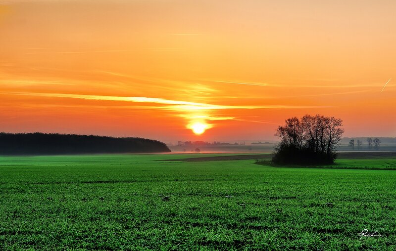 Sunset over Green Field — Orange, Serene