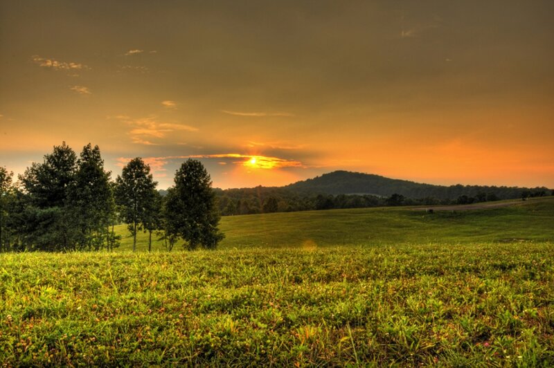 Sunset over Green Field — Serene, Photograph