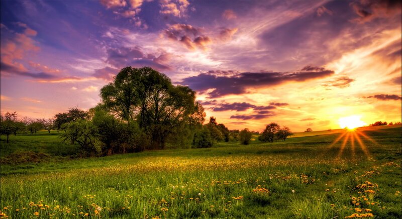 Sunset over Green Field — Serene, Photograph, Trees