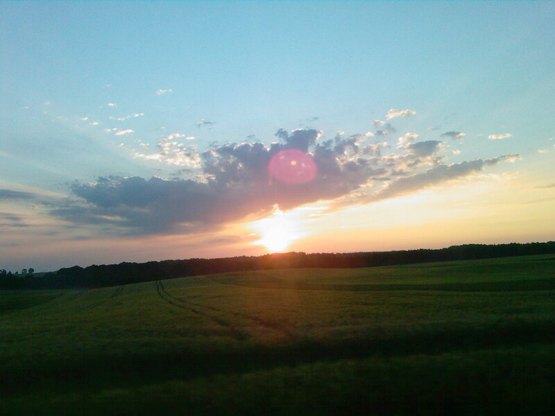 Sunset over Green Field — Serene