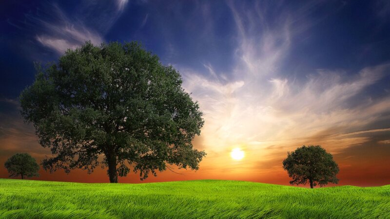 Sunset over green fields