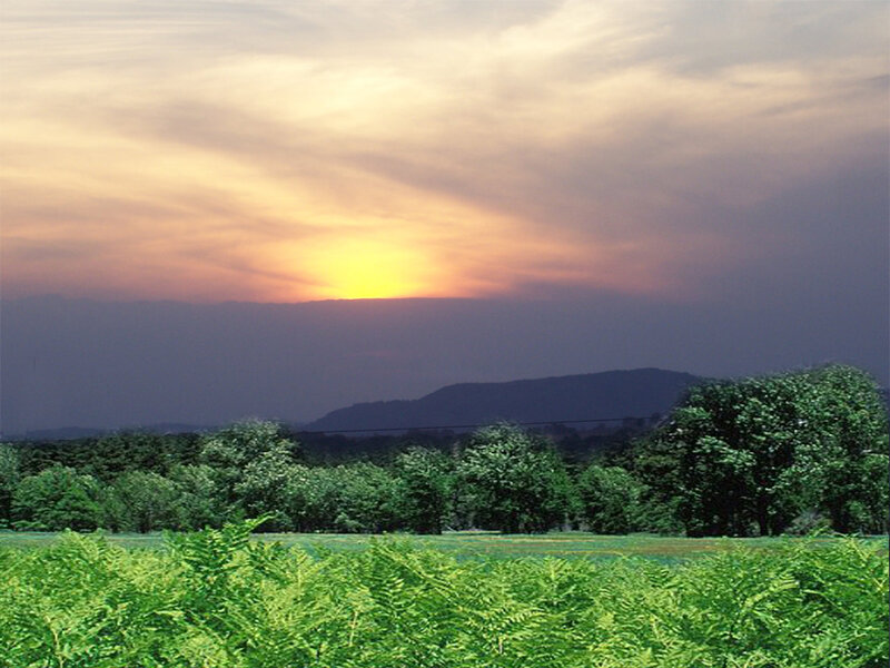 sunset over green fields