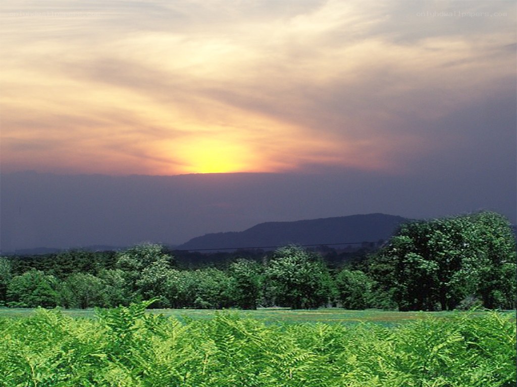 sunset over green fields